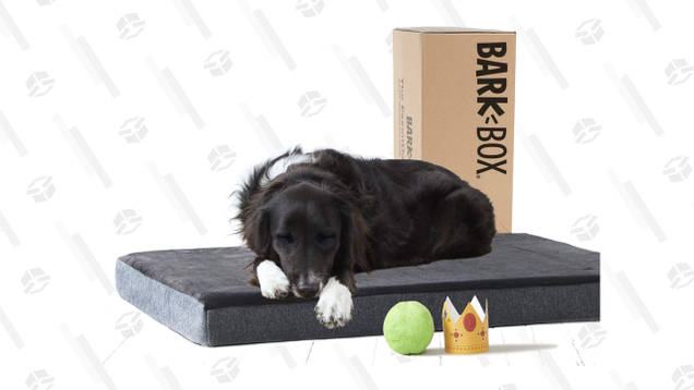 BarkBox Large Gray Orthopedic Memory Foam Dog Bed | $32 | Amazon | Clip the $8 coupon
